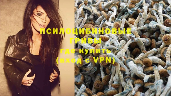 прущая мука Богданович