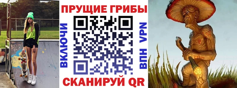 закладка  Воркута  Псилоцибиновые грибы Psilocybe 