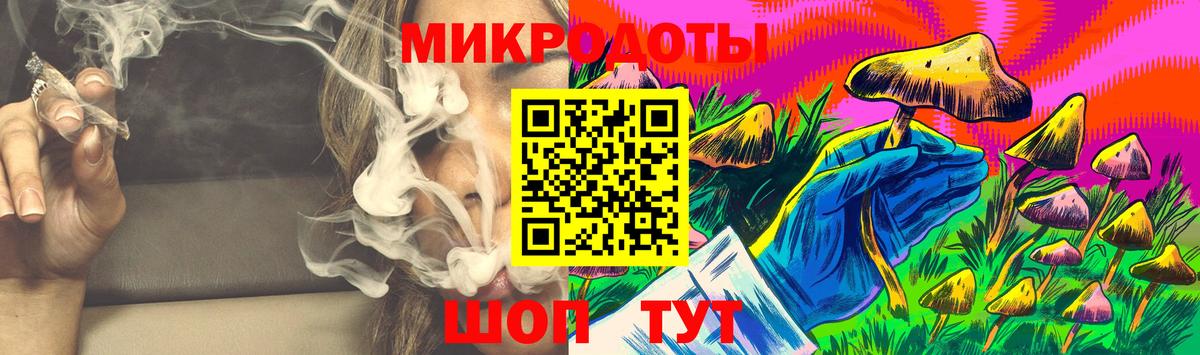 Галлюциногенные грибы Psilocybine cubensis Воркута
